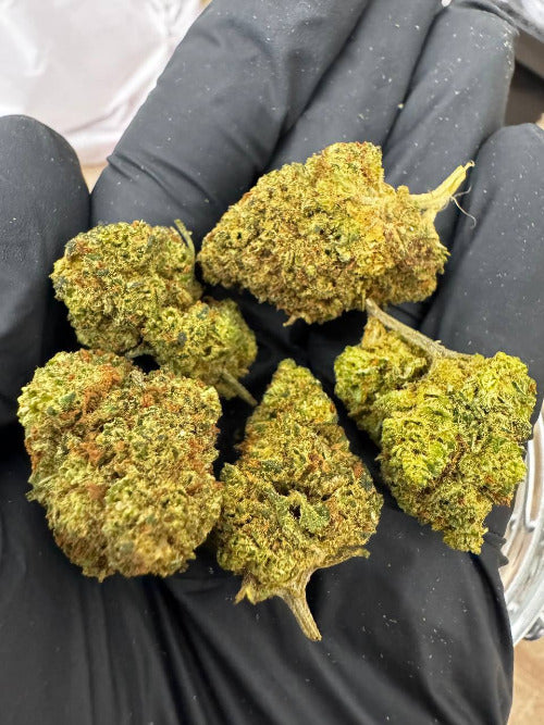 THX KVĚTY OG KUSH 30%