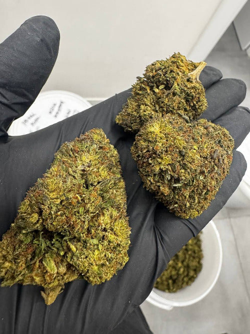 THX KVĚTY SUPER SILVER HAZE 30%