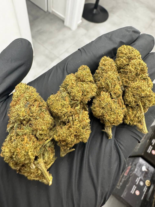 THX KVĚTY AFGHAN KUSH 30%